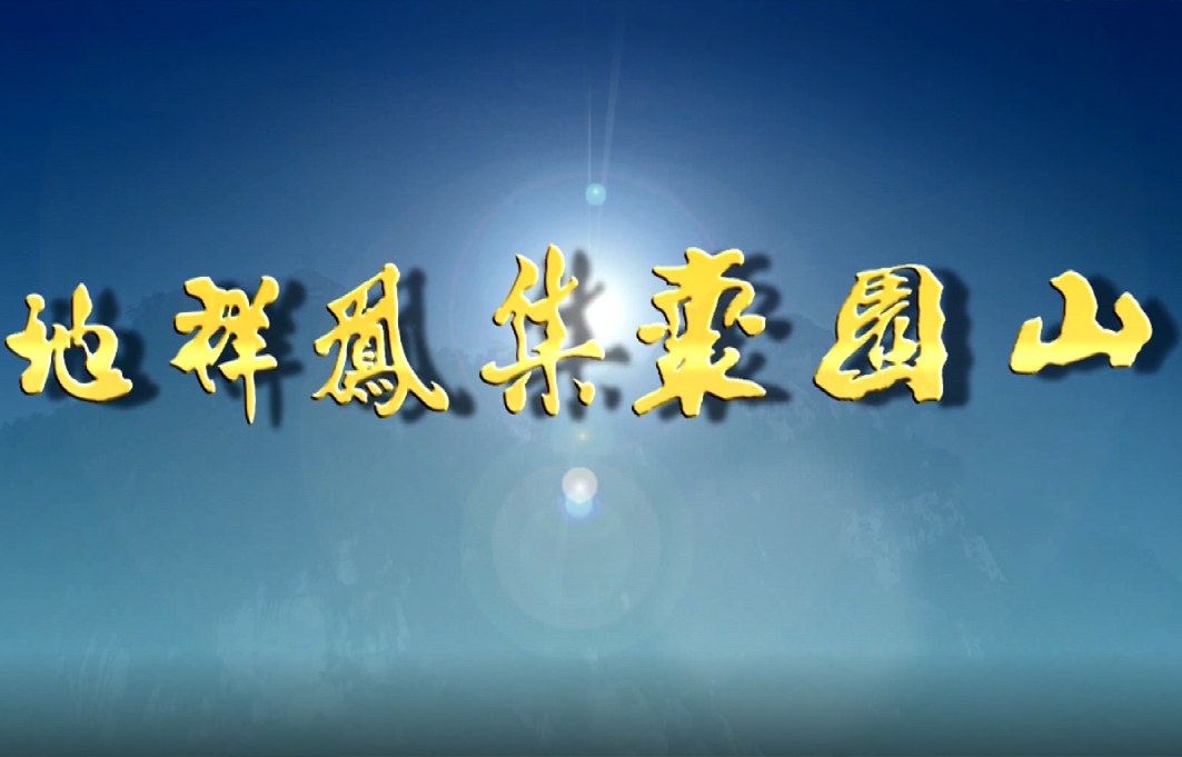 枣园墓地